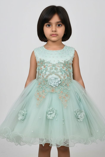 Elegant Pearl & Floral Embroidered Chiffon & Net Frocks