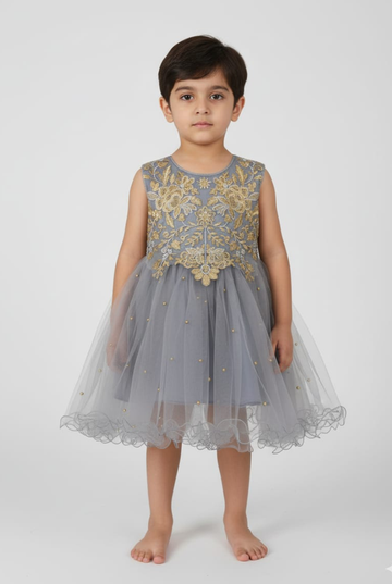 Elegant Pearl & Floral Embroidered Chiffon & Net Frocks